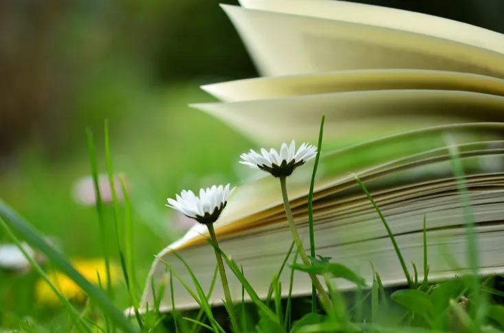 公司起名，独特个性的公司名称分享