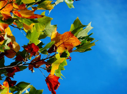 取个经典不过时的微信昵称