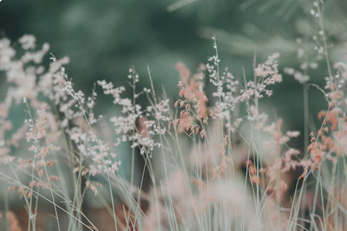 温柔到骨子里｜这些微信昵称真的好听！