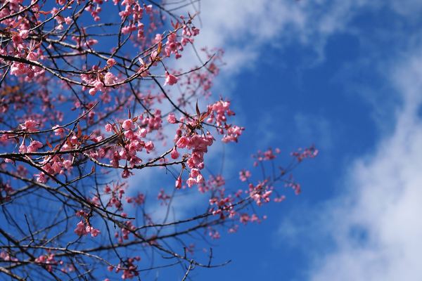 低调又高级的微信网名