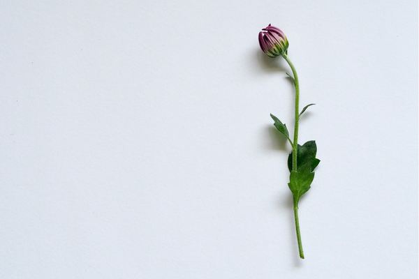 无畏契约游戏id取名鬼才，哪一个你敢用？