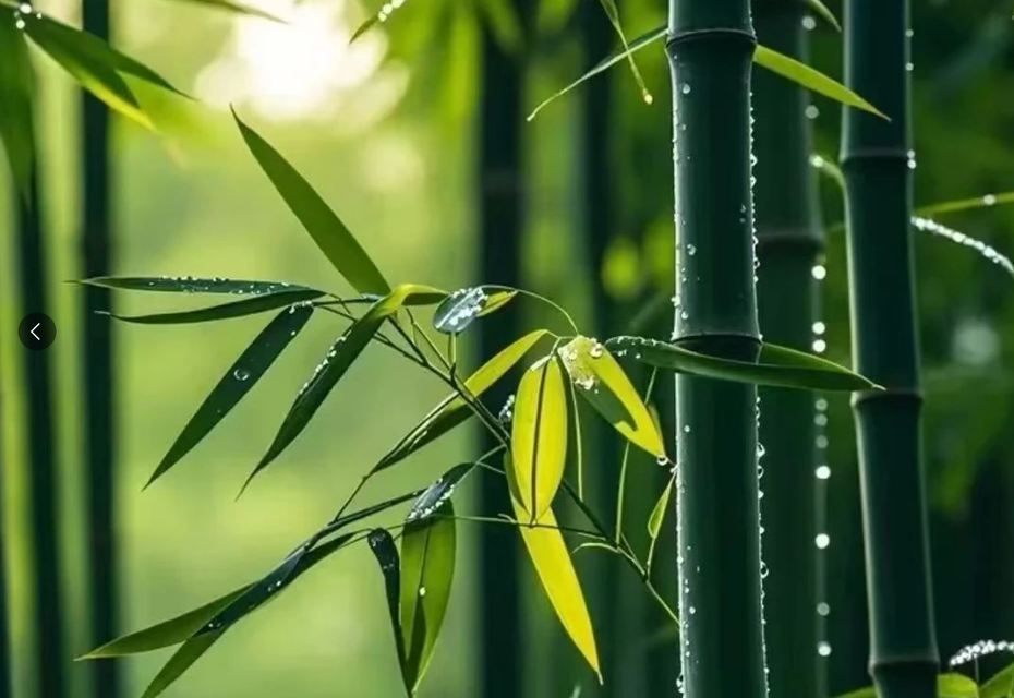 分享30个发财又吉祥的公司名字