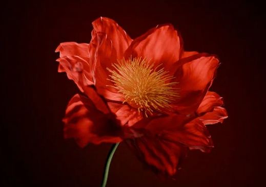 店铺起名丨2025必火餐饮名字融合餐厅