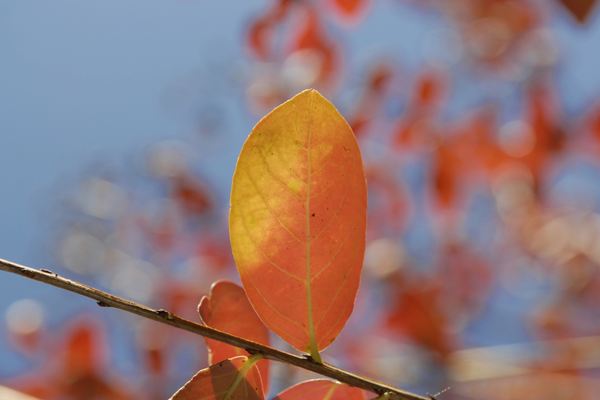 2025年10月18日出生宝宝起名,韵律十足