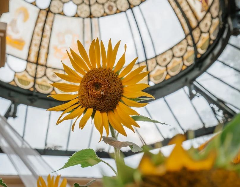 游戏起名丨六个字励志无畏契约游戏取名宝典