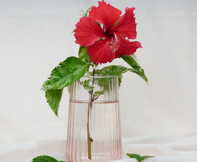 低调奢华有内涵的群名，真的很有范~