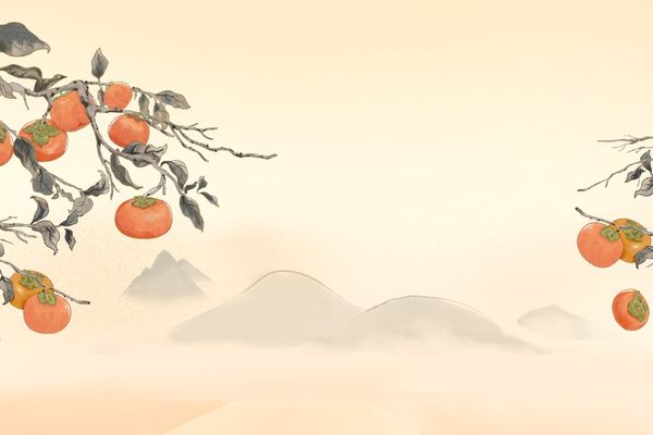 英文起名丨小众情绪化英文ID