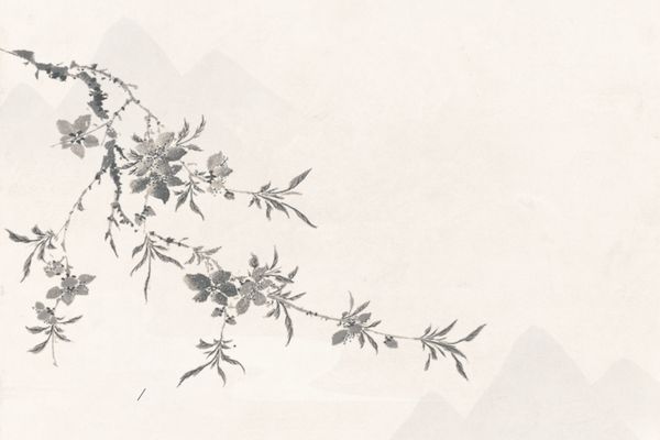 网名丨五十岁低调大气网名 