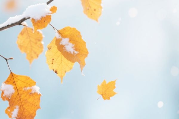 网名丨关于月的诗意网名ID