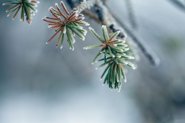 游戏起名丨60个游戏id昵称（可爱又搞笑）