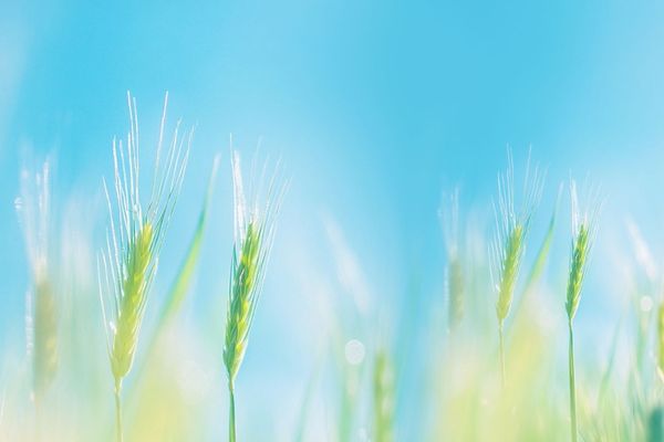 游戏起名丨四个字励志洛克王国游戏取名