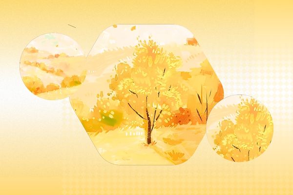 网名起名丨高级感拉满的小众网名