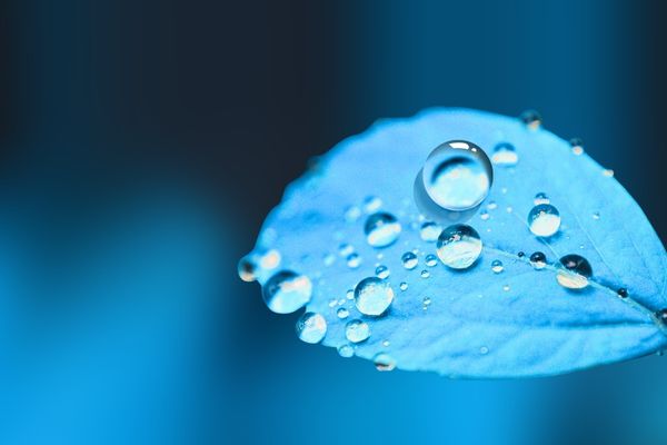 游戏起名丨三角洲id高级质感的昵称