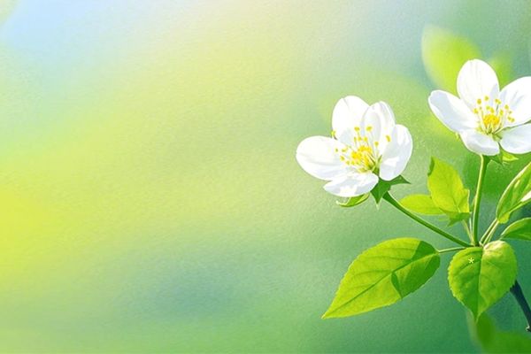 守望先锋有趣的游戏id有哪些？