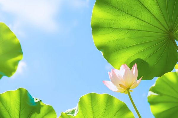 小众不常见的杂系网名