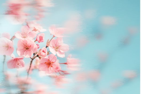 网名丨高级冷淡感网名ID