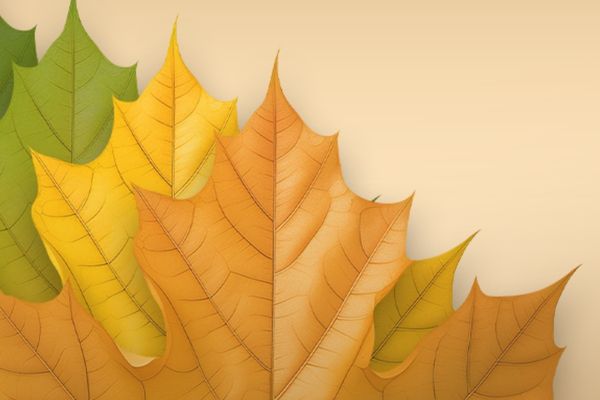 旺生意的名字餐饮店取名，这些名字真不错~