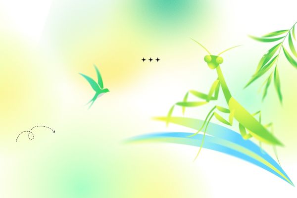 网名起名,取一个春意正浓的网名ID