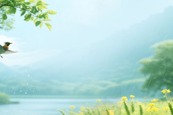 网名丨温柔的网名昵称女