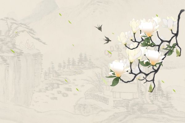 高级大气女装店名 女装网店名字简约大方