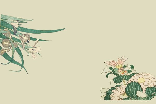 网名丨好听不烂大街的网名ID