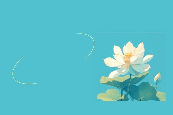 网名丨令人心动的网名ID