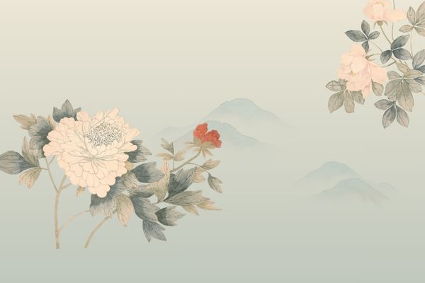 网名丨五十个个优质诗意网名ID