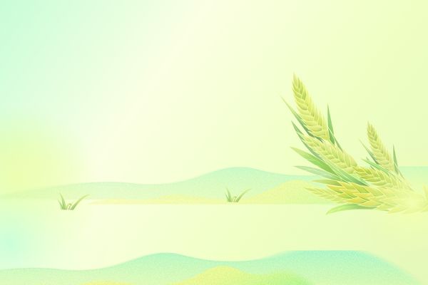 网名丨带有春天气息的网名(春日昵称取名灵感合集)