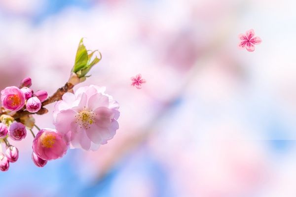 ​网名丨无力抗拒的五字意境网名ID