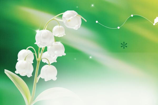 适合尹姓的高级微信名，干净又耐看