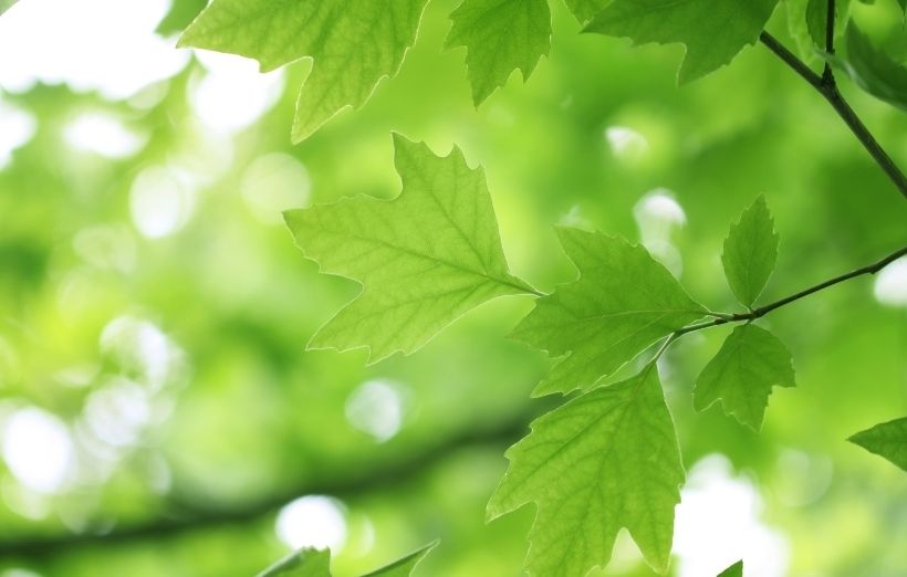 公司起名丨传媒公司起名字高端大气多少的