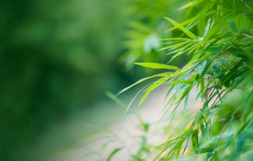 公司取名丨有内涵的科技公司名字