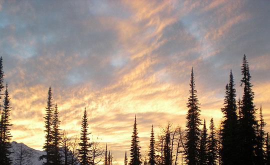 2021年新潮好听的女孩名字