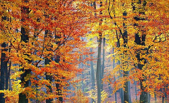 2021最新秀恩爱情侣个性网名