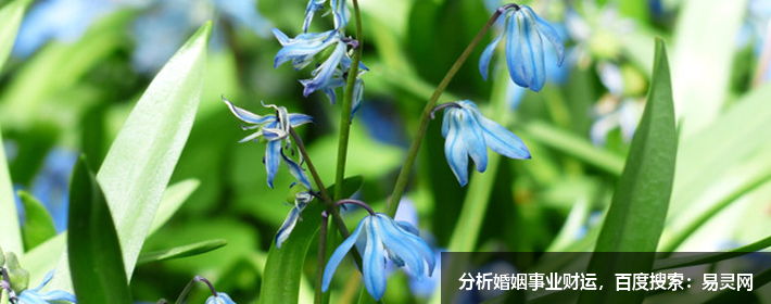 姓李的男孩起名字大全2022年四个字