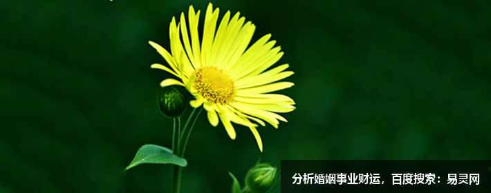 新生儿起名字生辰八字起名免费