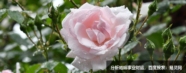 2022牛年女宝宝小名时尚洋气