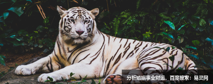 男生好听罕见的英文名富有深意