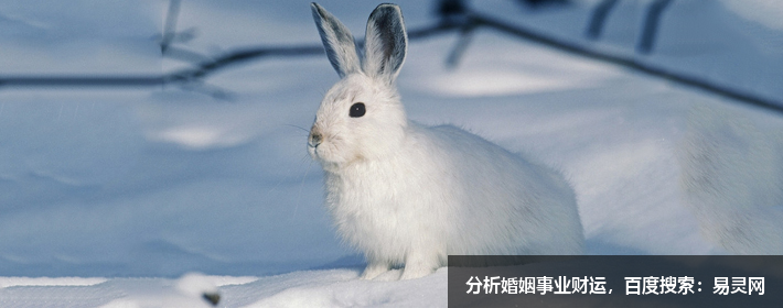 宝藏男孩胡歌，胡歌这个名字打分，解析