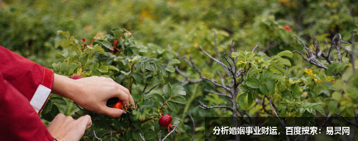 简单有寓意的男生英文名大全