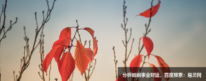 微信伤感网名女生悲伤心碎，女生微信伤感网名大全