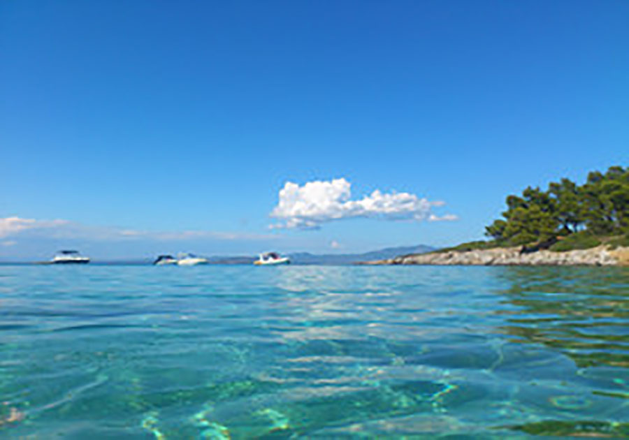 什么店名好听又吸引人网店名字