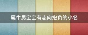 属牛男宝宝有志向抱负的小名大全 霸气豪迈
