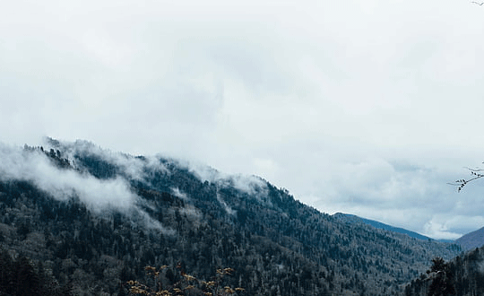 1581051391417687.png 5(12).png