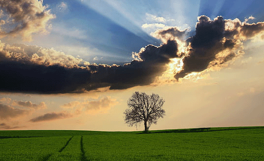 1581075890162134.png 5(245).png