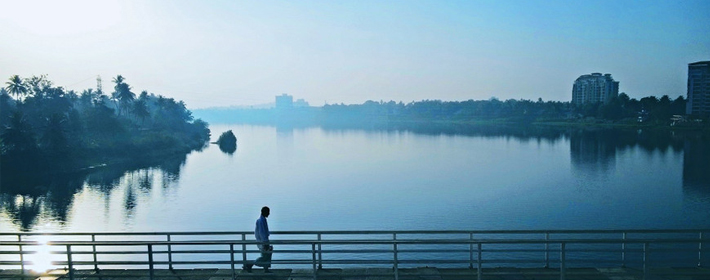 2021金牛属牛女宝宝最佳名字