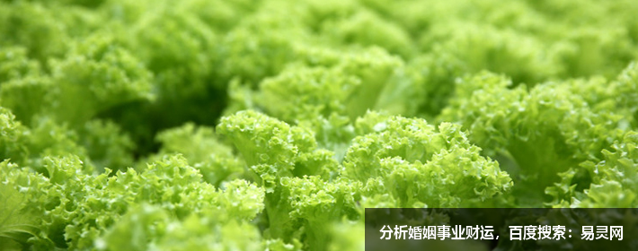 互联网公司创意名字大全,独特好听应有尽有 互联网公司创意名字大全,独特好听应有尽有