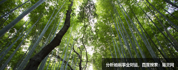 成熟有深度内涵的网名女生 成熟有深度内涵的网名女生