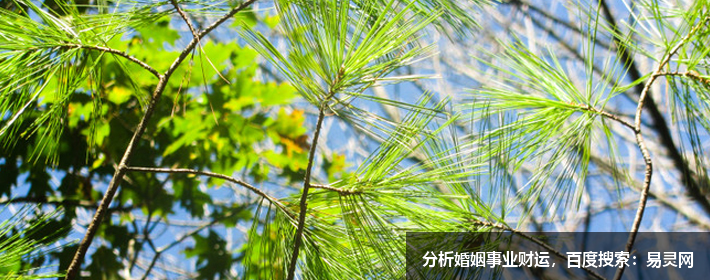 2022虎年宝宝起名大全女孩