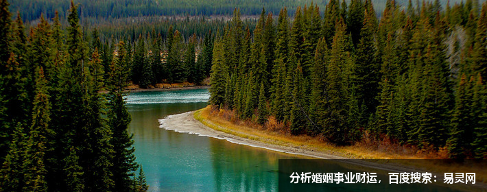 响亮的清洁公司名字 响亮的清洁公司名字